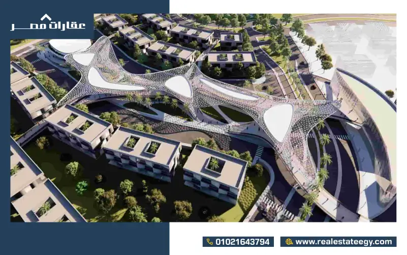 مشروع بينج زايد الجديدة