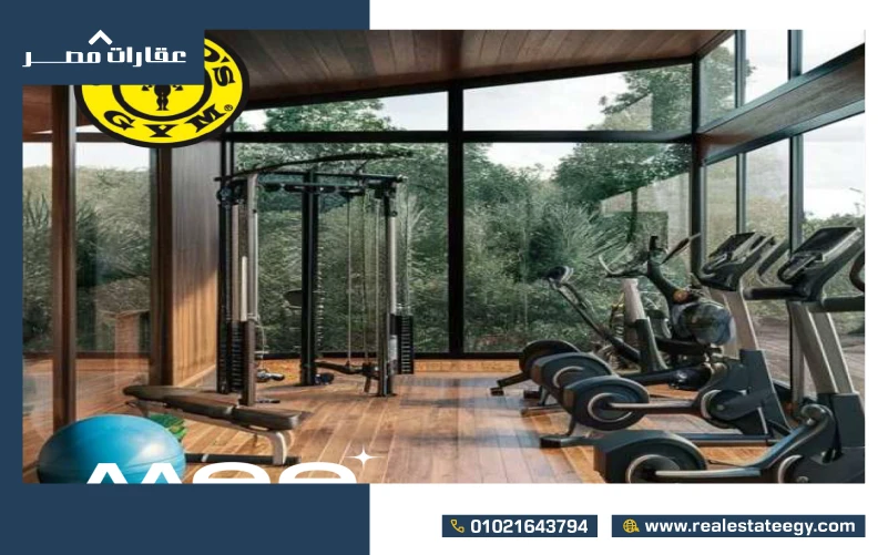gold's gym new cairi