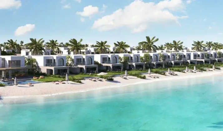 ذا ميد راس الحكمة