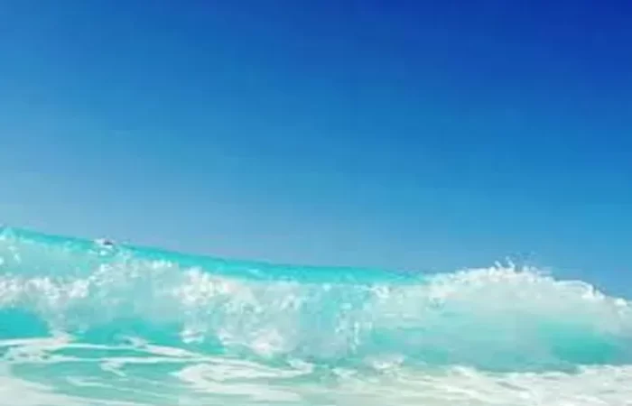 بيلا فينتو السخنه