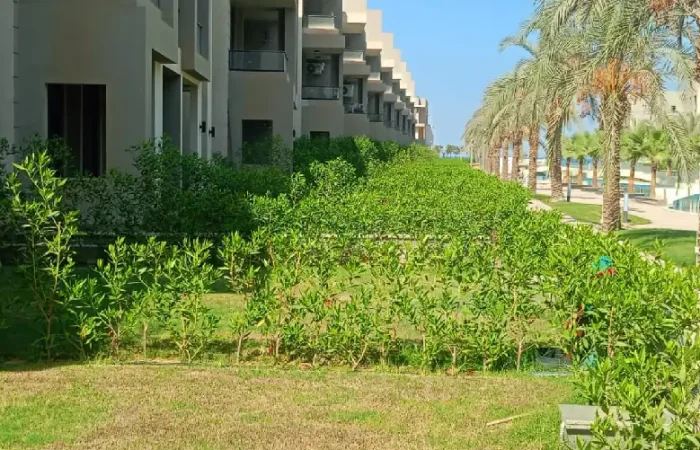 قرى مدينة الجلالة قرية بيلا فينتو الجلاله العين السخنة
